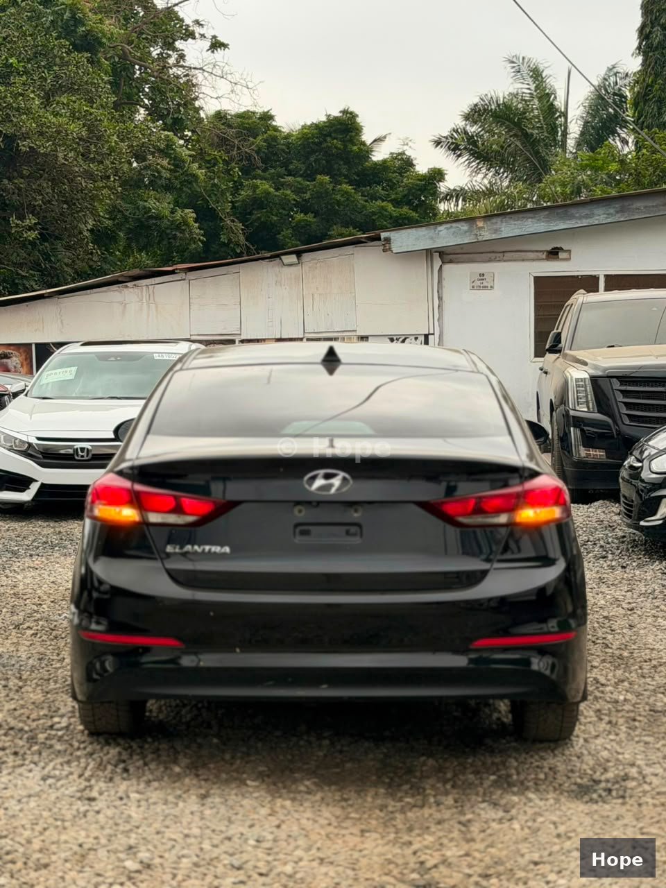 Back Side