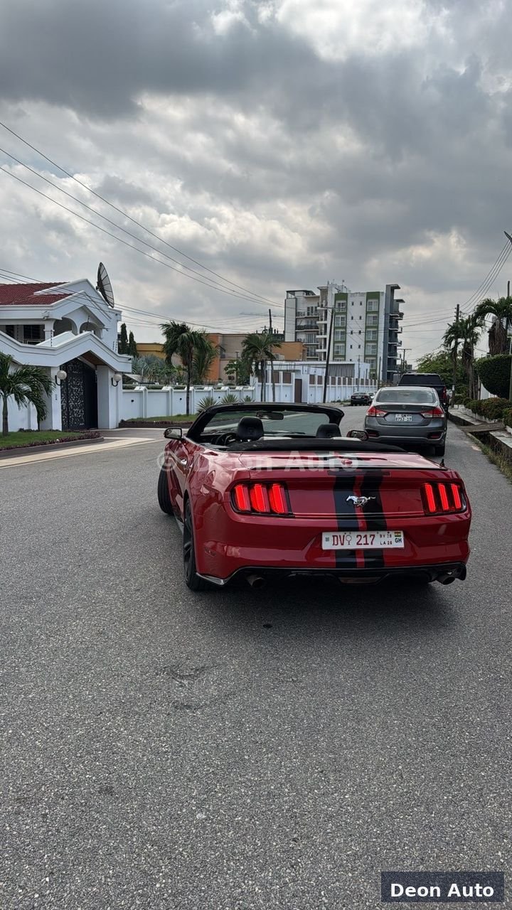 Back Side